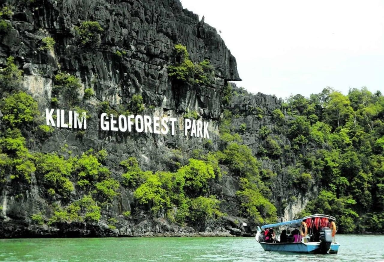 Jelajahi Keindahan Hutan Bakau Langkawi dengan Mangrove Tour